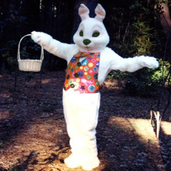 Easter Bunny image